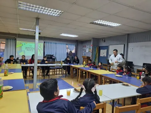 media_6a8879e9c2817_WhatsApp-Image-2025-04-29-at-12381335.webp