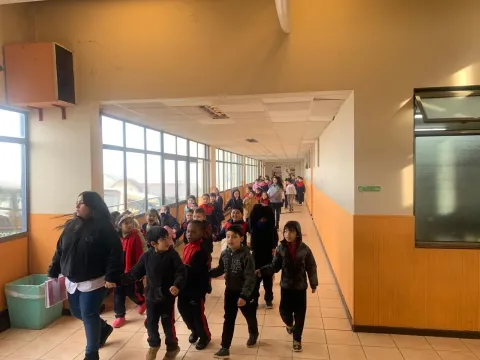 media_6a887a70eda2e_WhatsApp-Image-2025-05-22-at44-103531.webp
