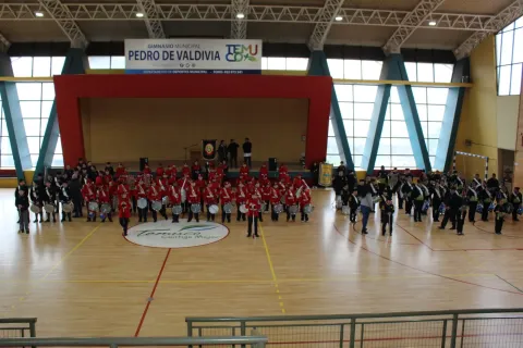 Colegio Las Américas Lidera Exitoso Encuentro de Bandas Escolares en Temuco