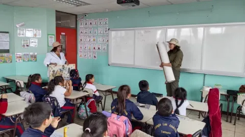 Proyecto de lectura lúdica: Estudiantes viajan por el mundo