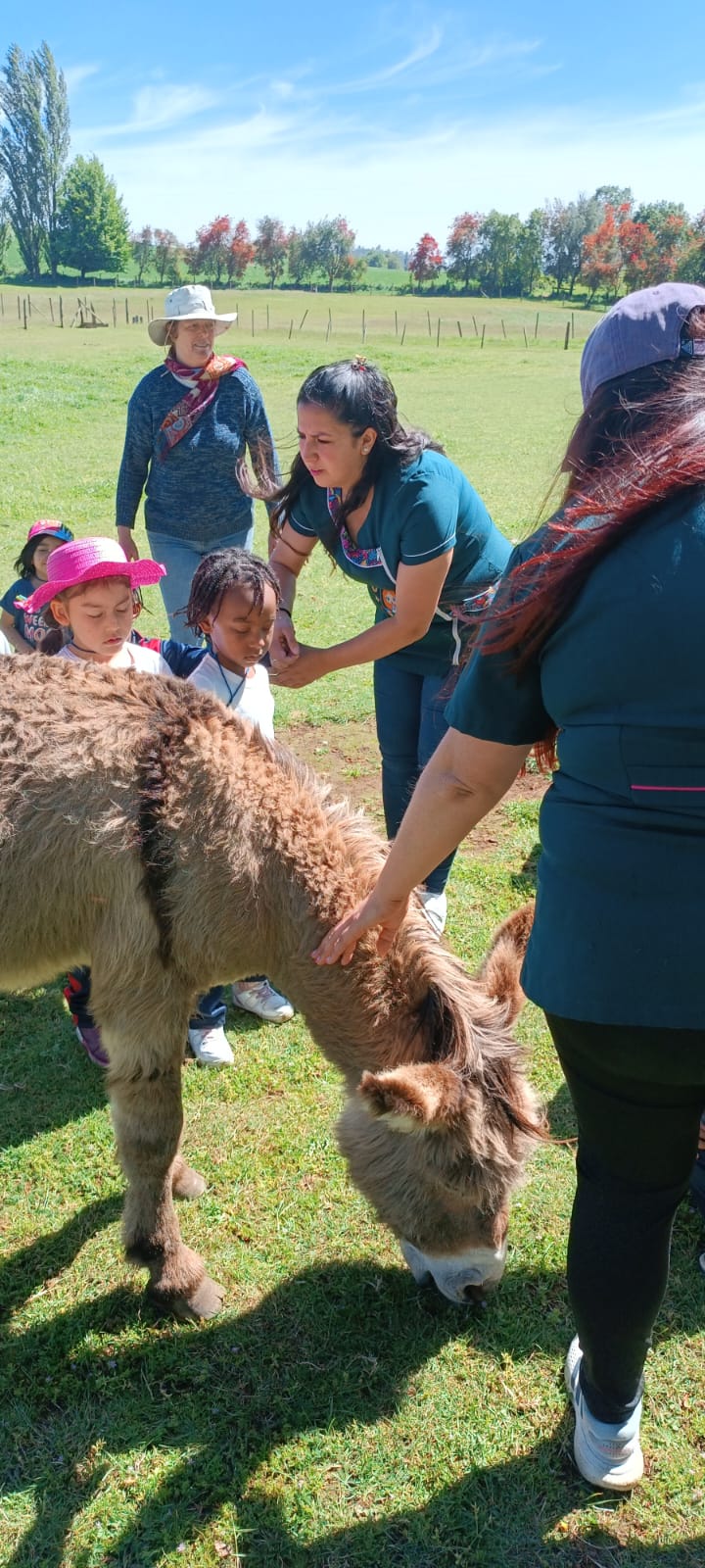 WhatsApp Iddmage 2025-10-29 at 09.12.40