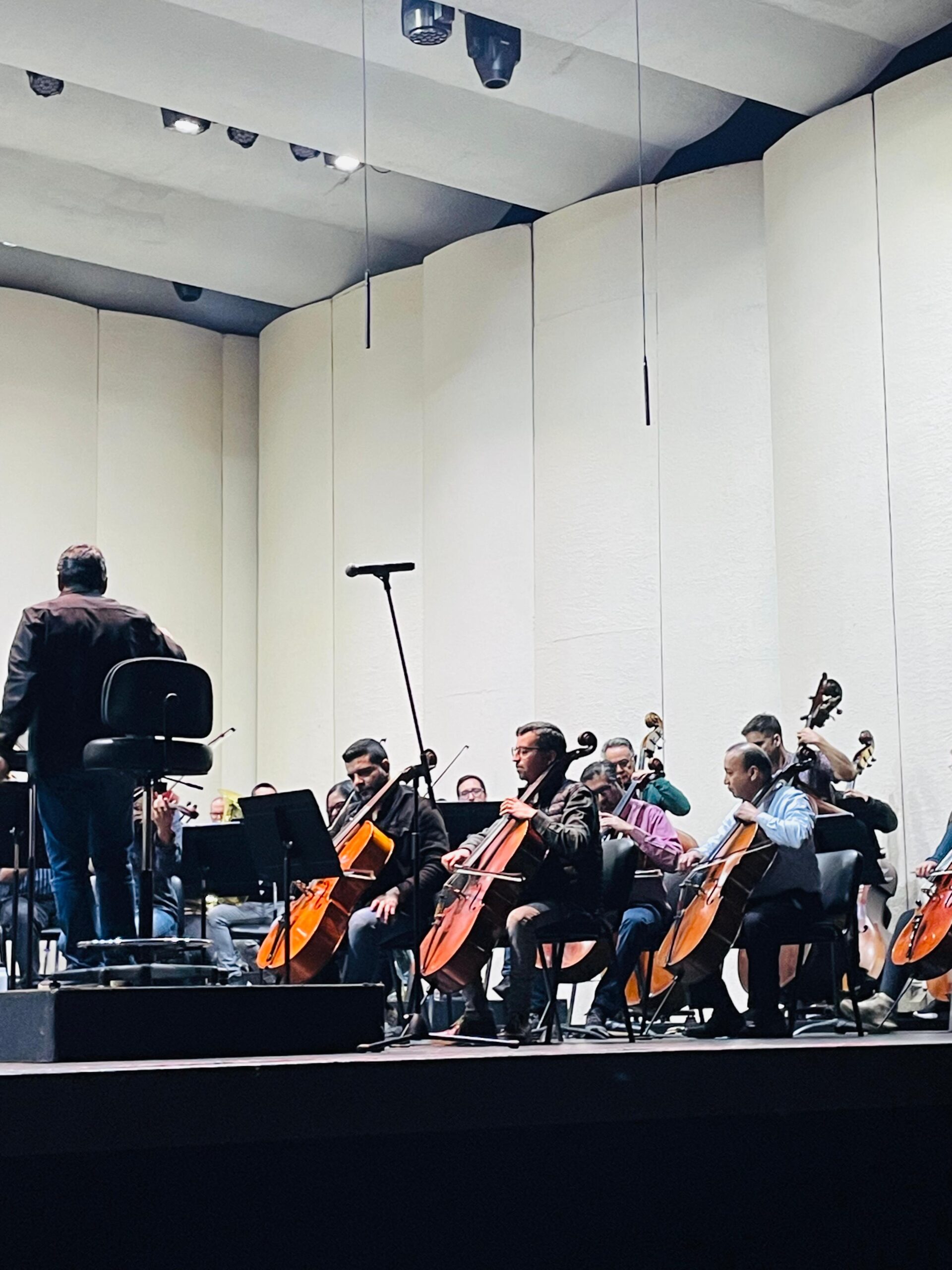 WhatsApp Image 2025-10-27 at 17.08.14