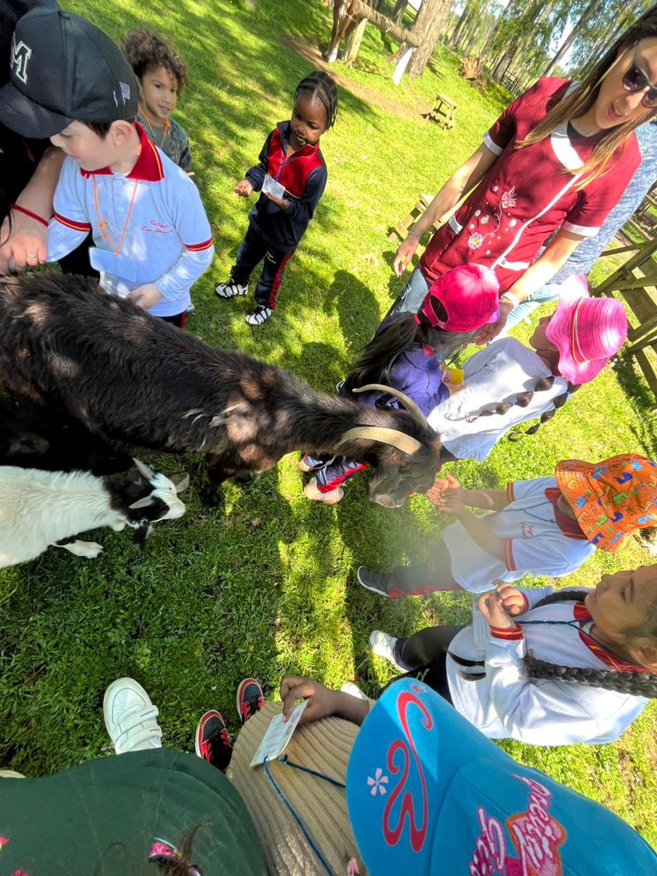 WhatsApp Image 2025-10-29 at 09.12.40