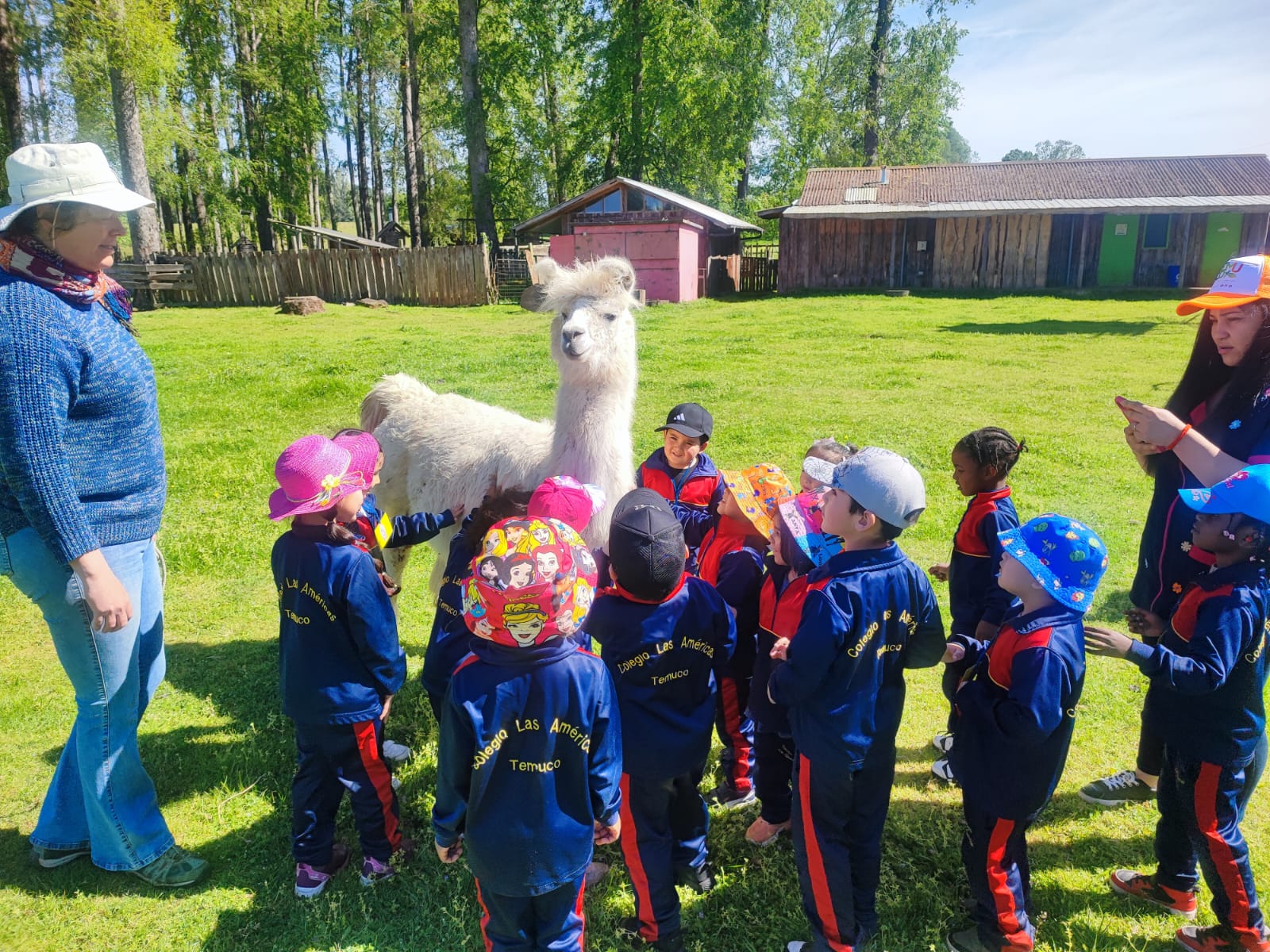 WhatsApp Image 2025-10-29 at 09.12dada.46