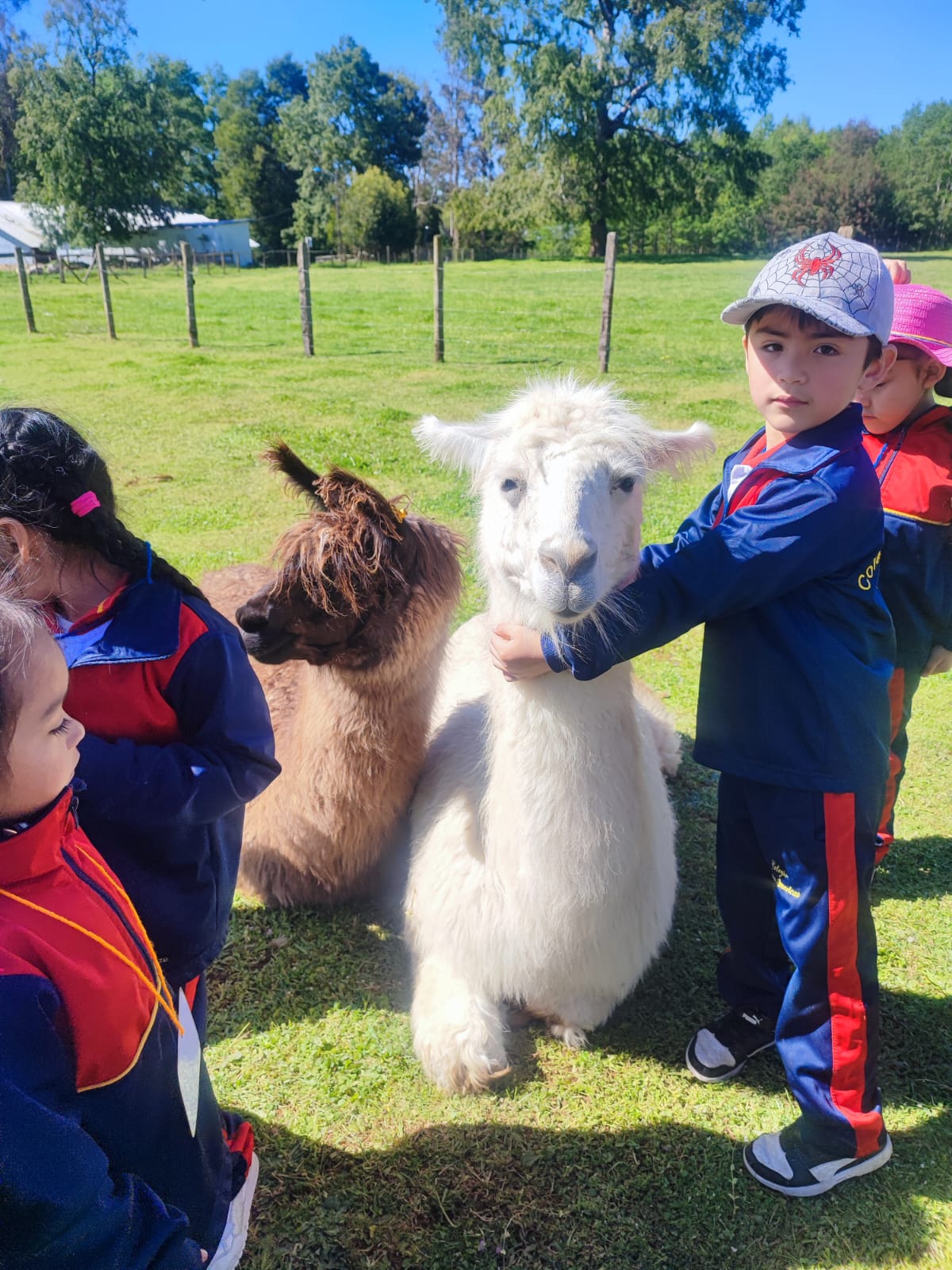 WhatsApp Image 2025-10-29 at 0adad9.12.45