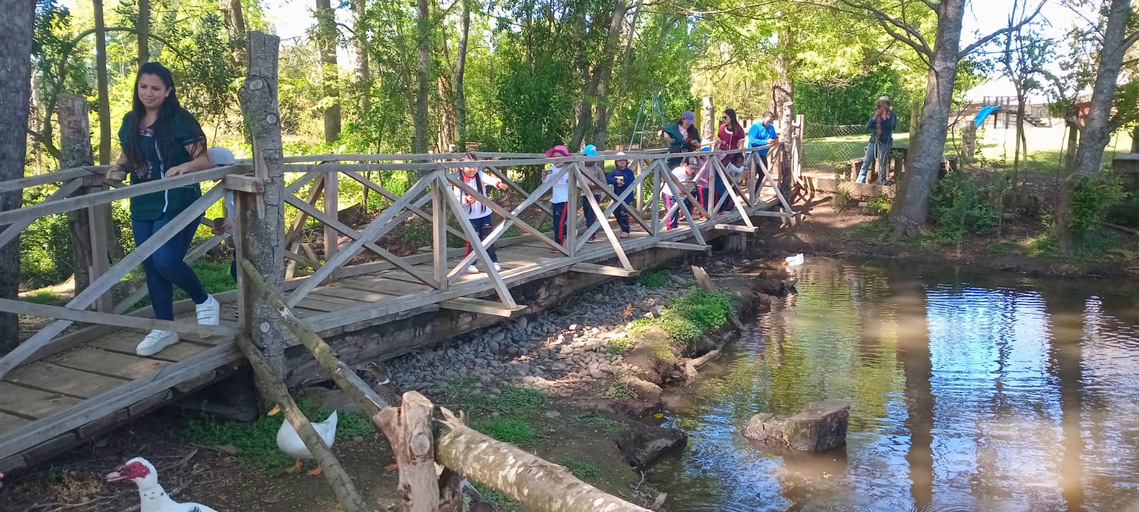 WhatsApp Image 2025-10-29 at 0sfs9.12.41