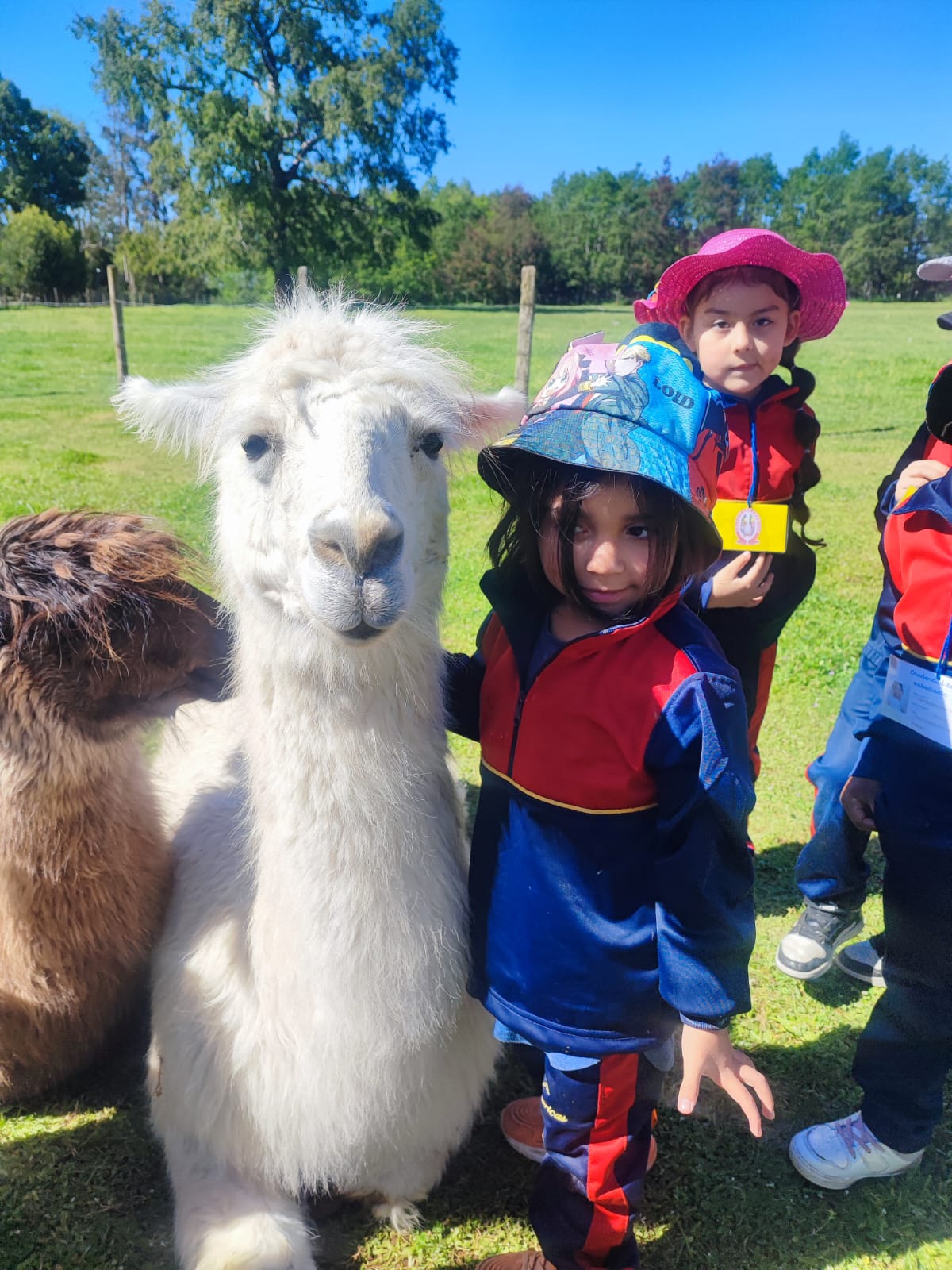 WhatsApp Image 2025-10-29 atdadad 09.12.46