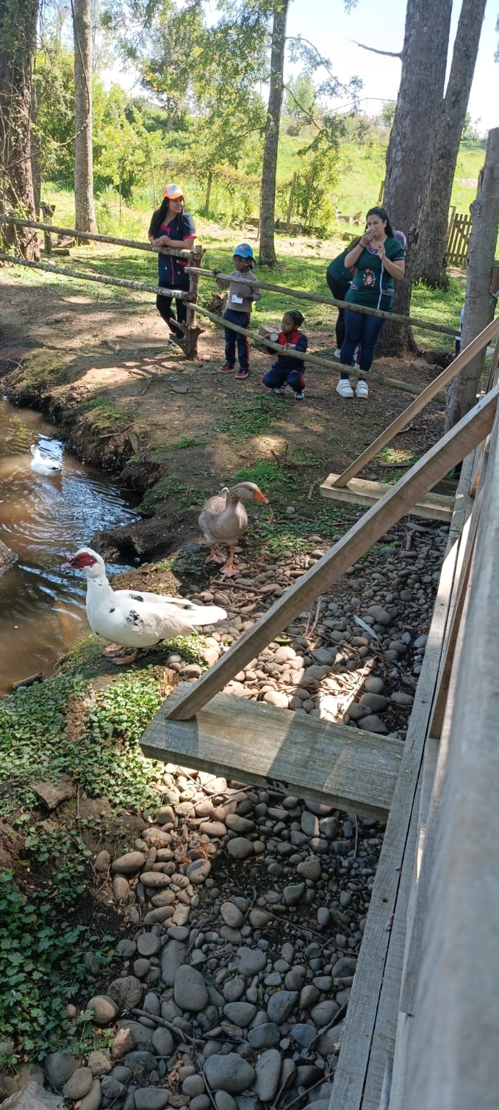 WhatsApp Image 2025-10-29 atdd 09.12.40