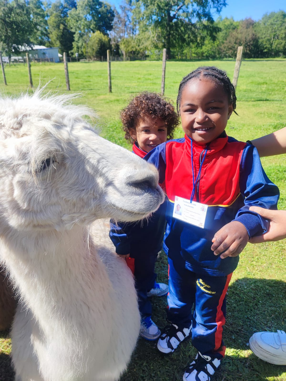 WhatsApp Image 2025-10-29 awrwrt 09.12.44