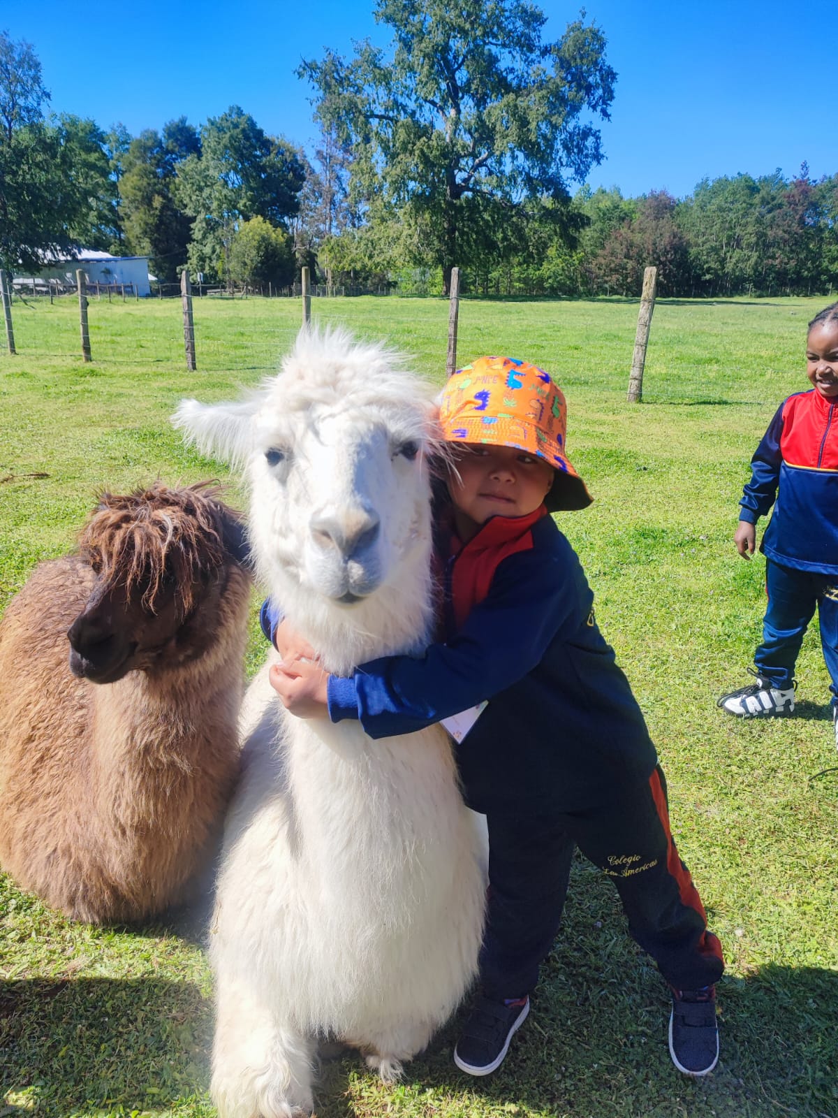 WhatsApp Image 2025-10-29 dada 09.12.44