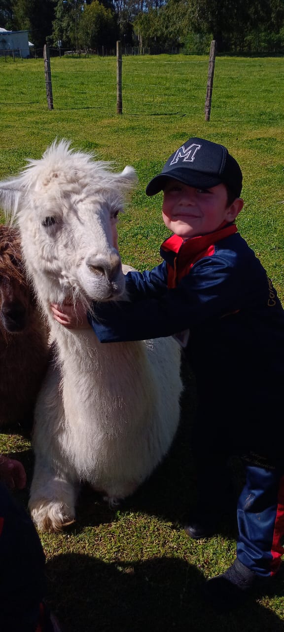 WhatsApp Image 2025-10-29dad at 09.27.54