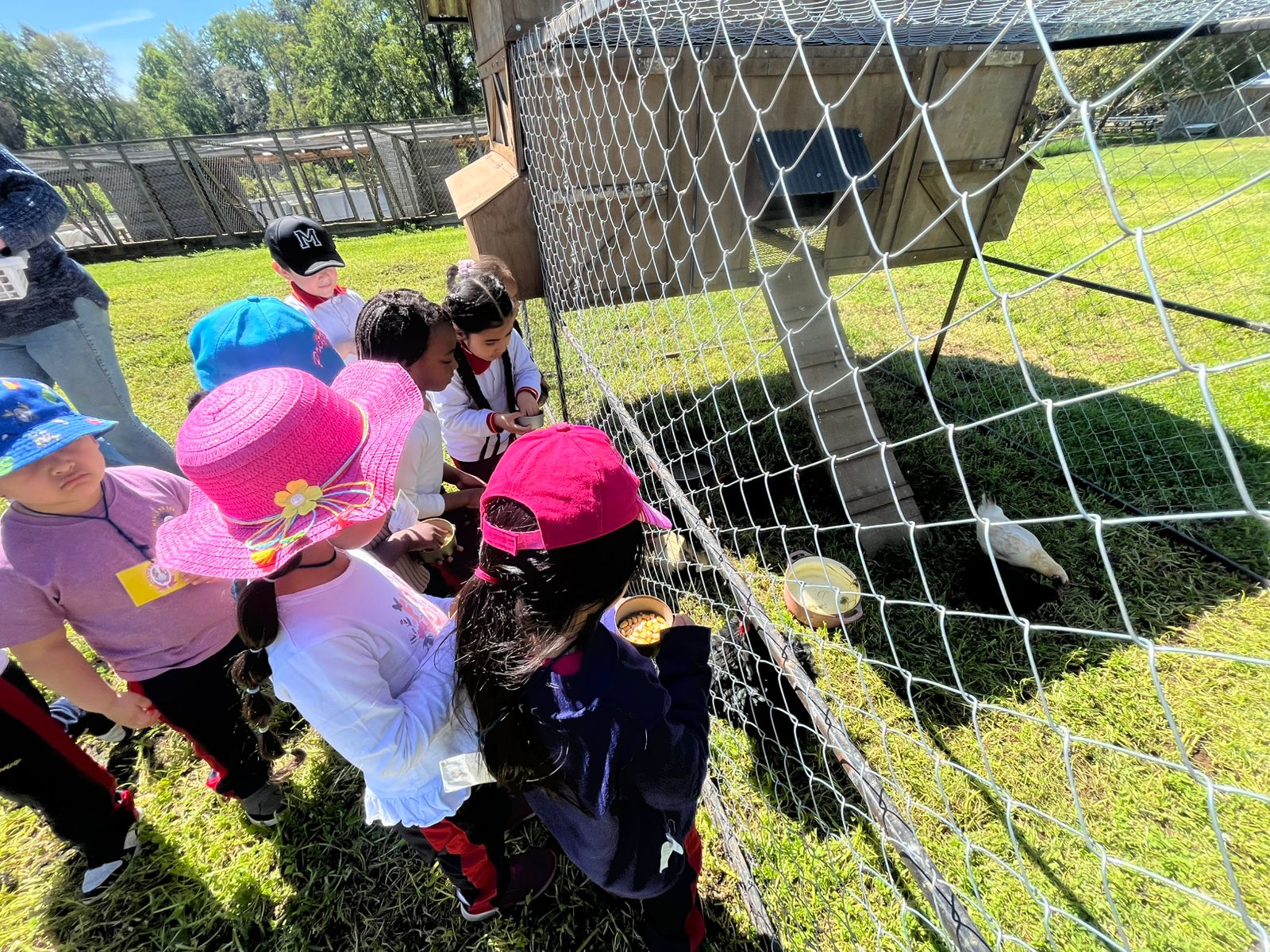 WhatsApp Image 2025-10-29dd at 09.12.40