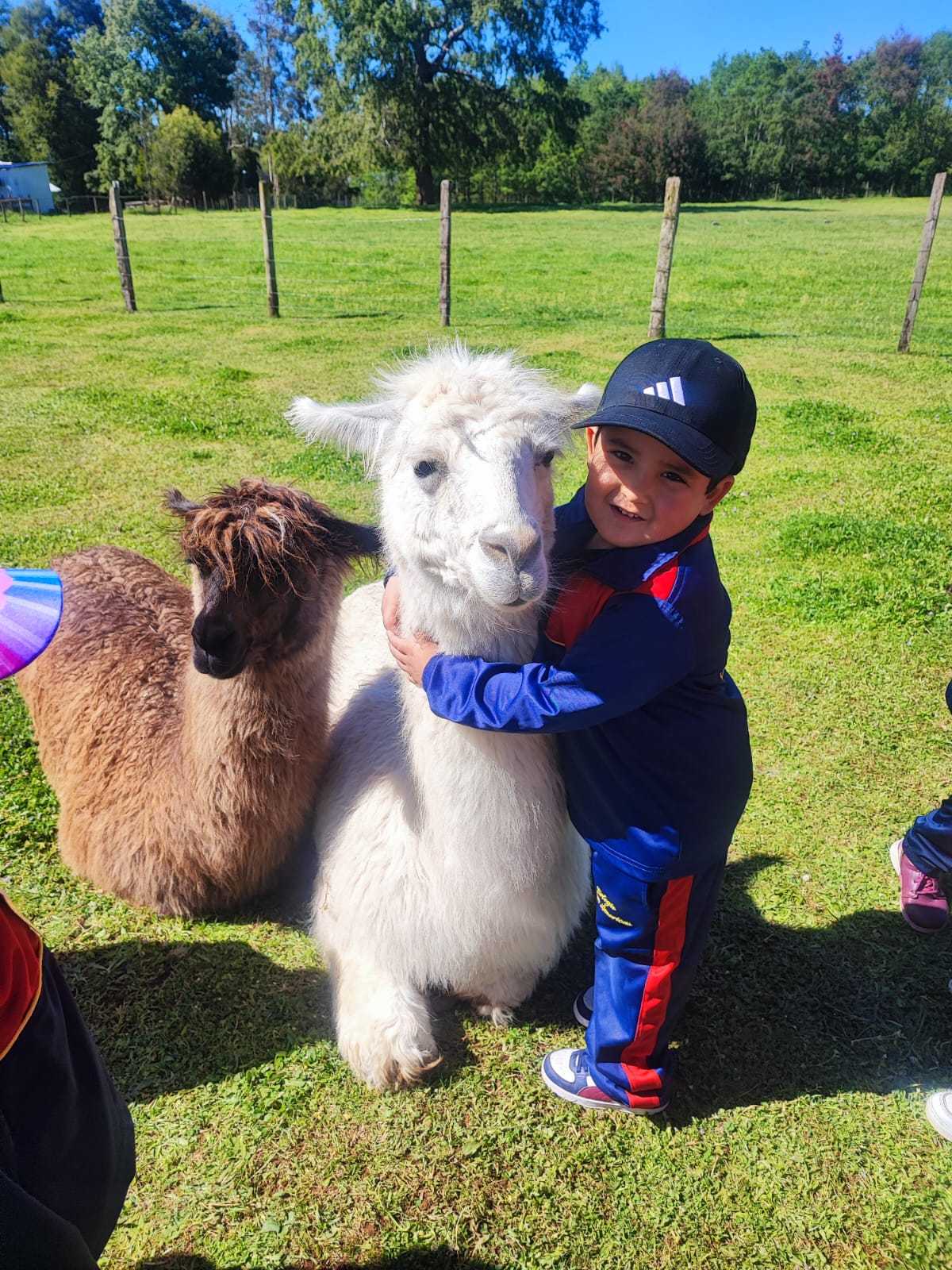 WhatsApp Image 2025-10-2dadad9 at 09.12.45