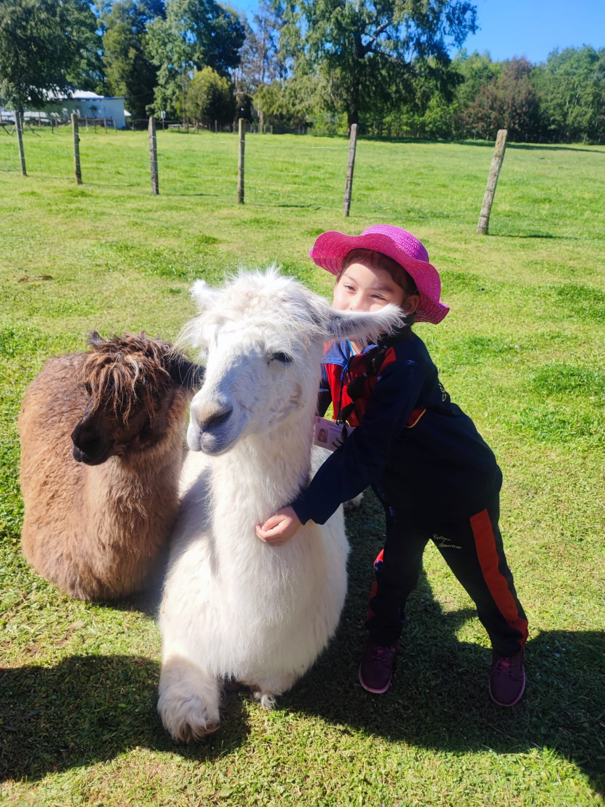 WhatsApp Image 2025-10-2ddda9 at 09.12.45