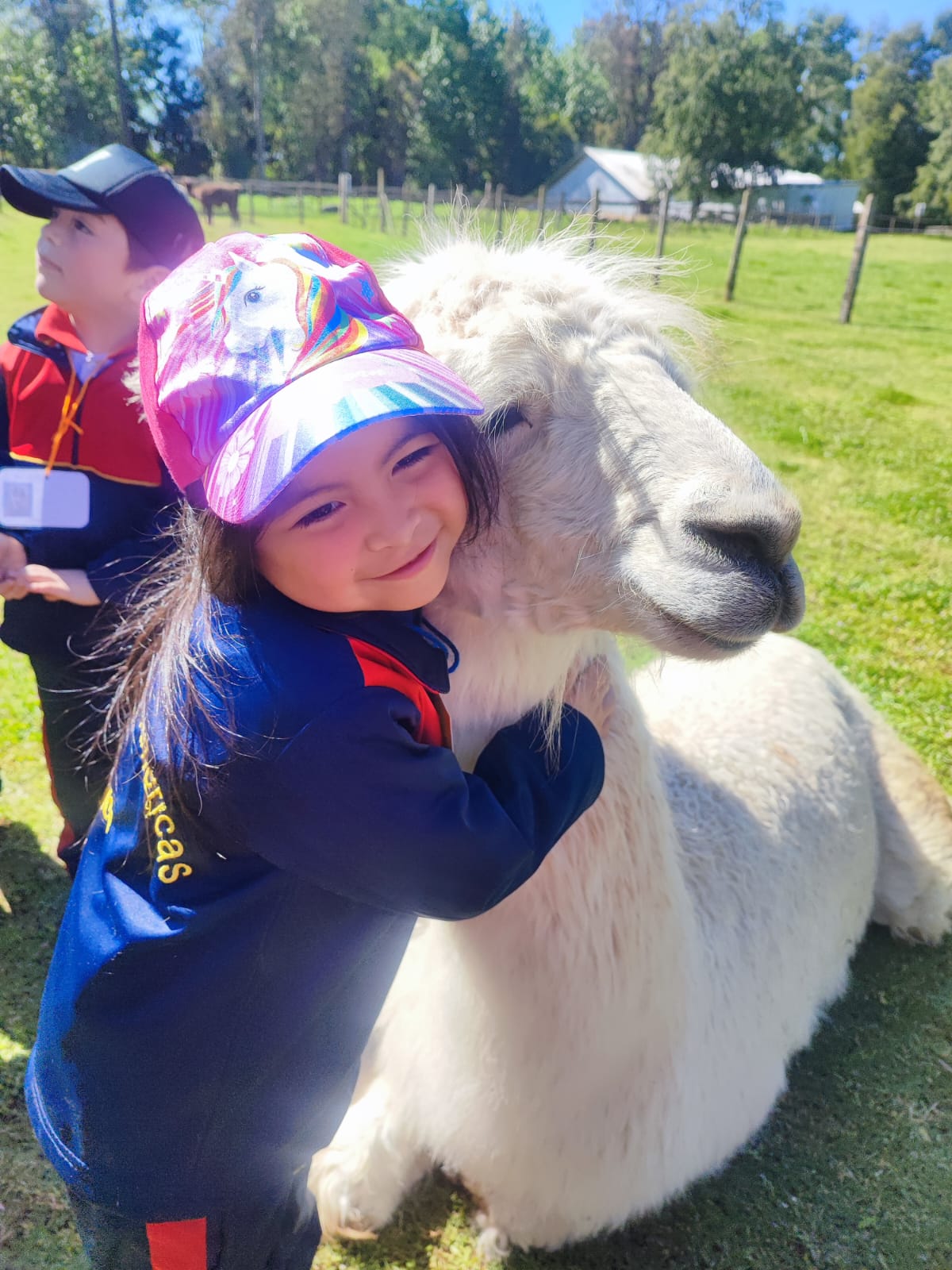 WhatsApp Image 2025-10-rwrw29 at 09.12.44