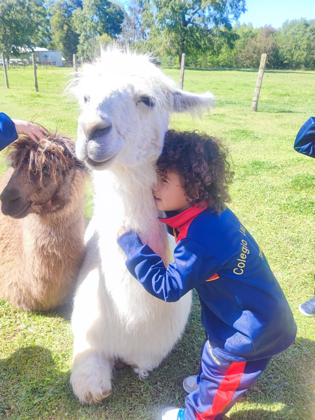 WhatsApp Image 2025-103453-29 at 09.12.44