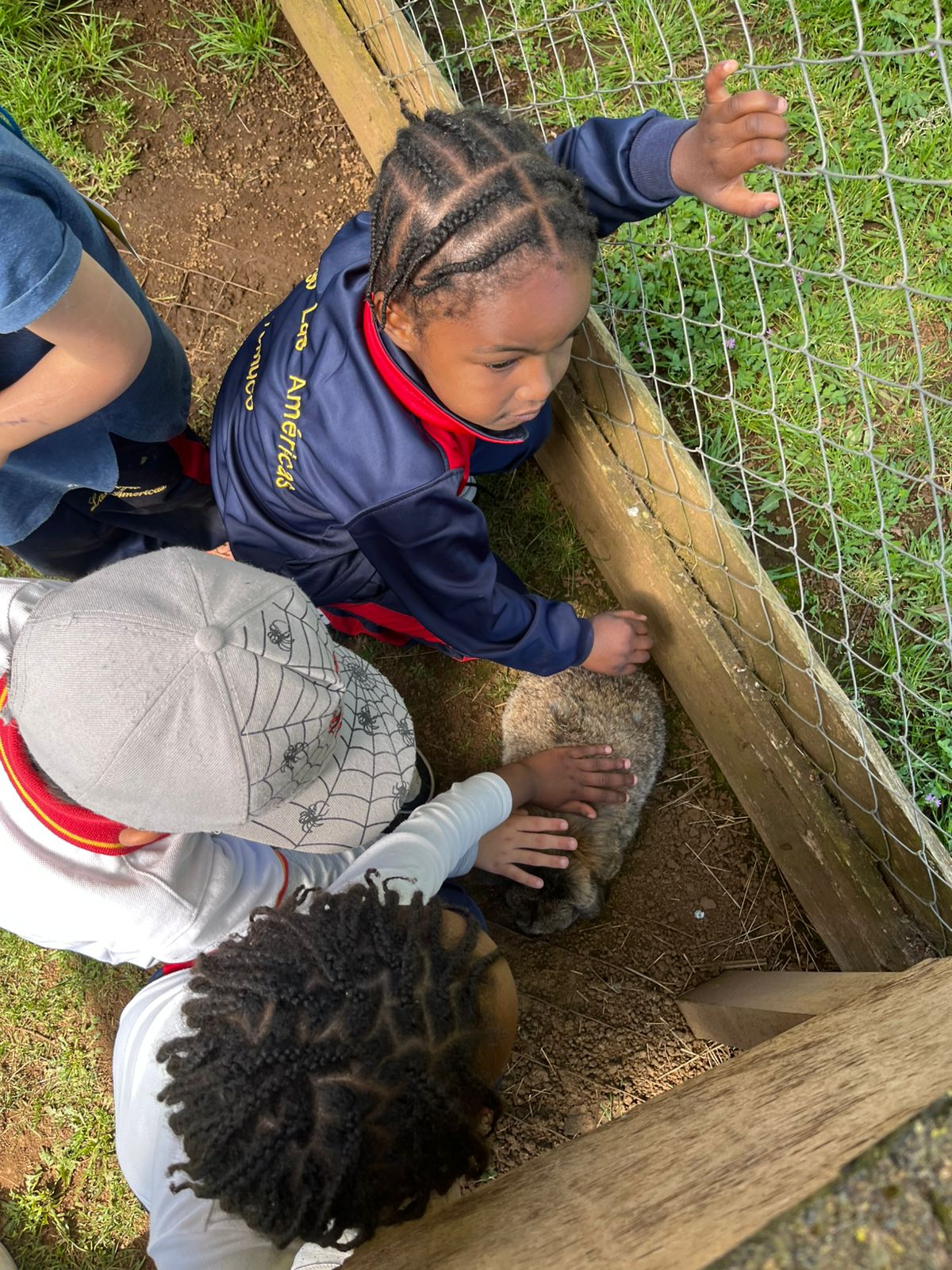 WhatsApp Image 2025-10dgdg-29 at 09.12.41