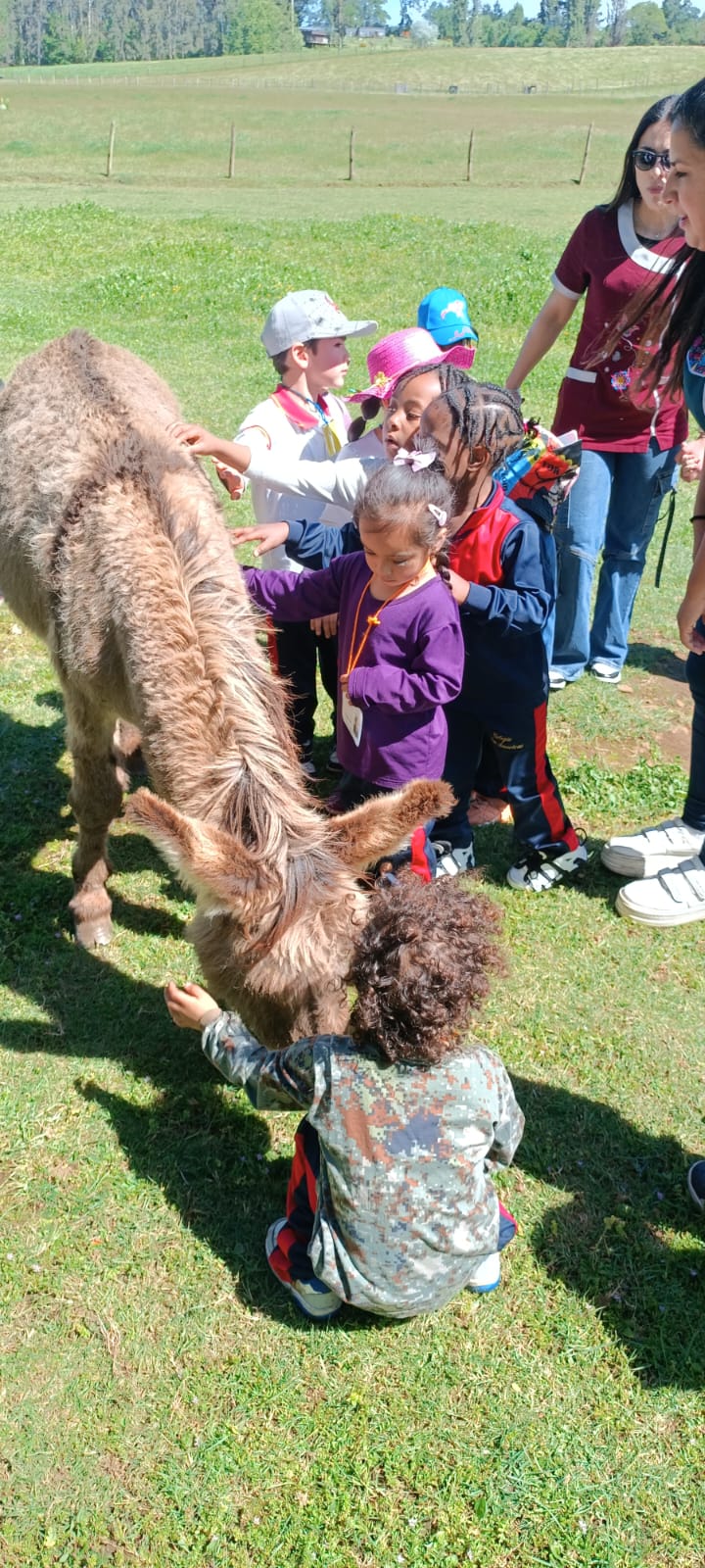 WhatsApp Image 2025-10fff-29 at 09.12.39