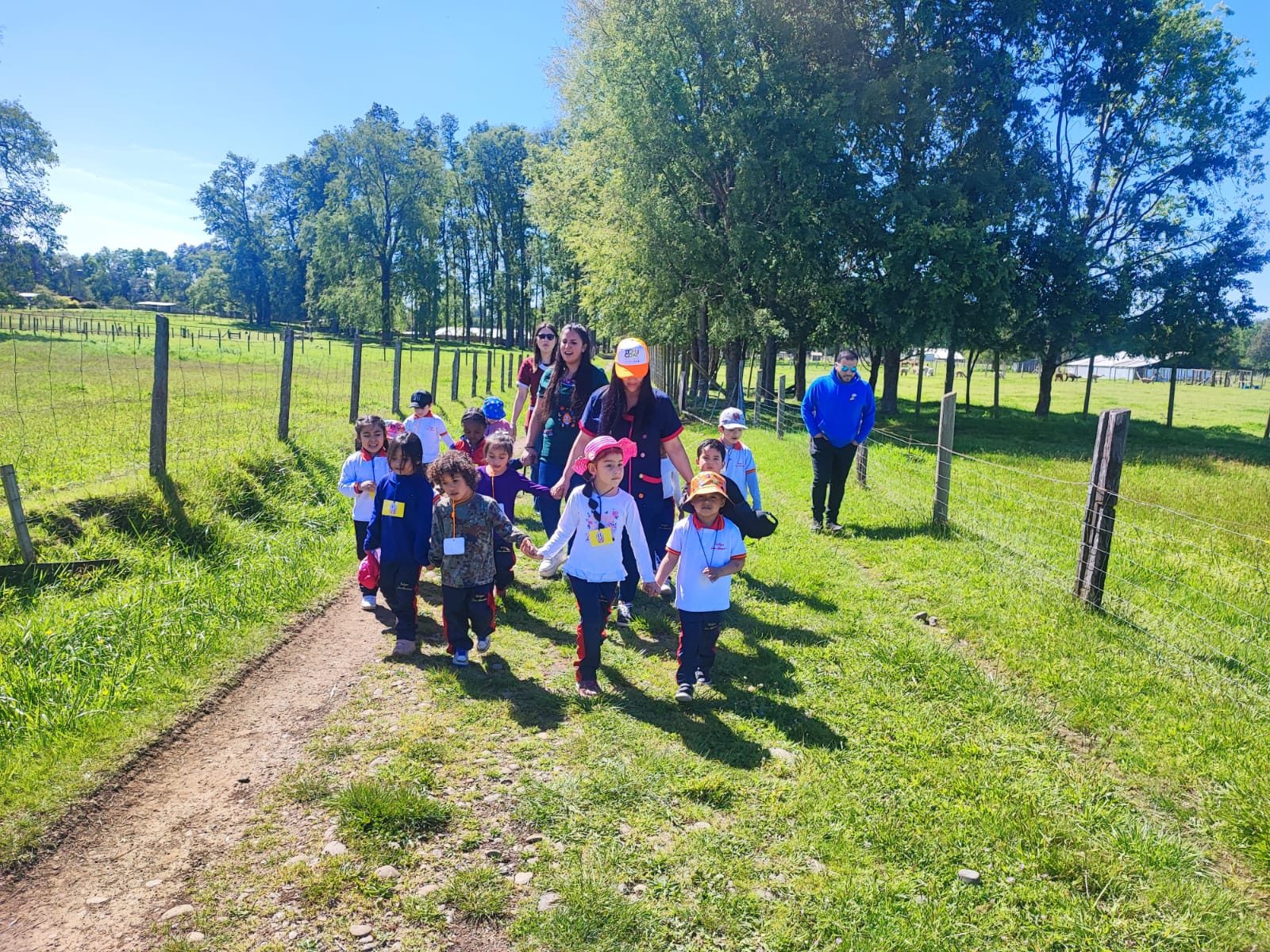 WhatsApp Image 2025-10zczc-29 at 09.12.43