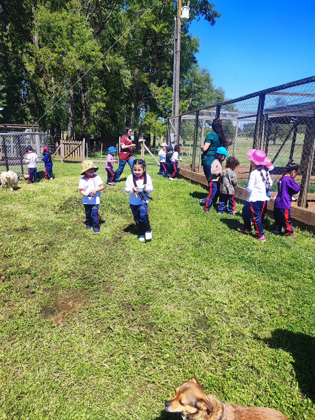 WhatsApp Image 2025-ss10-29 at 09.12.42