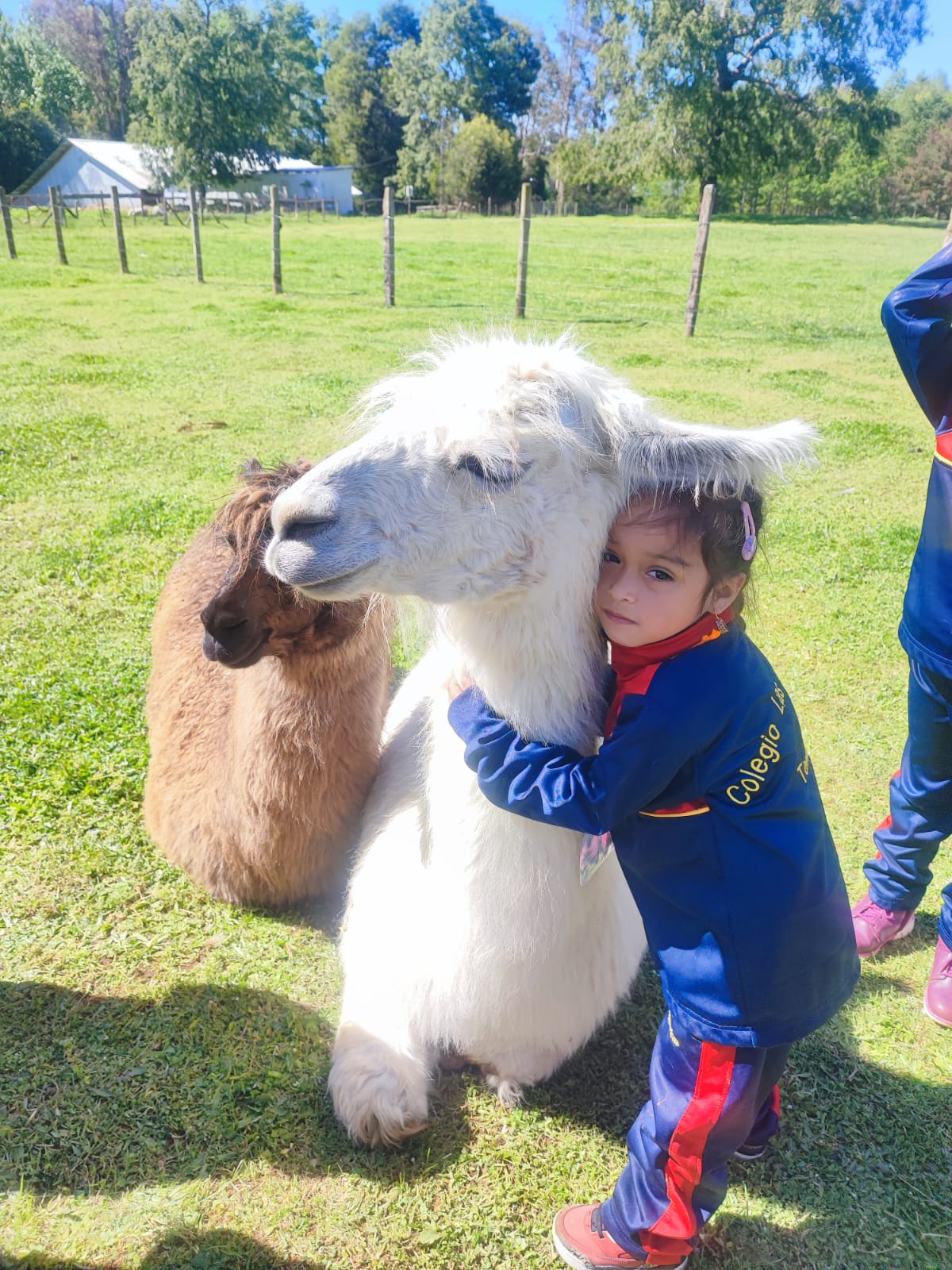 WhatsApp Image 2025dada-10-29 at 09.12.45