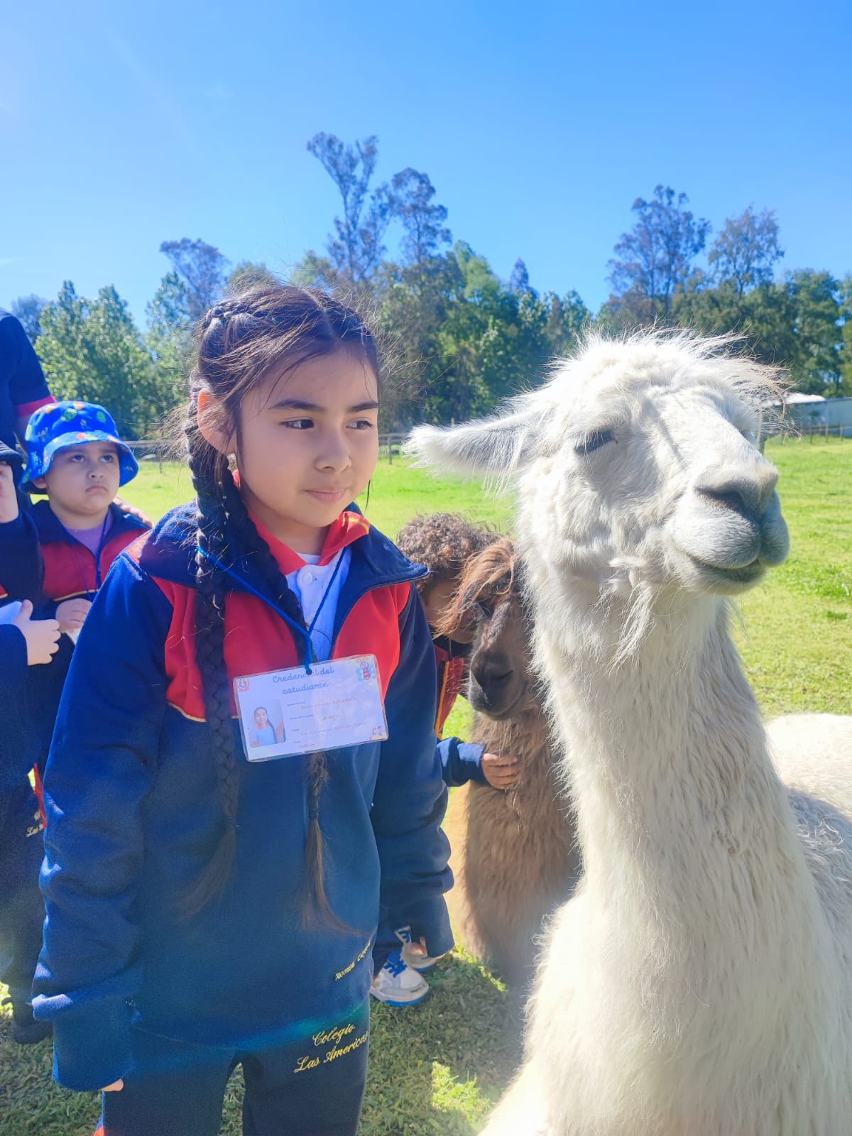 WhatsApp Image 2<zx<025-10-29 at 09.12.43