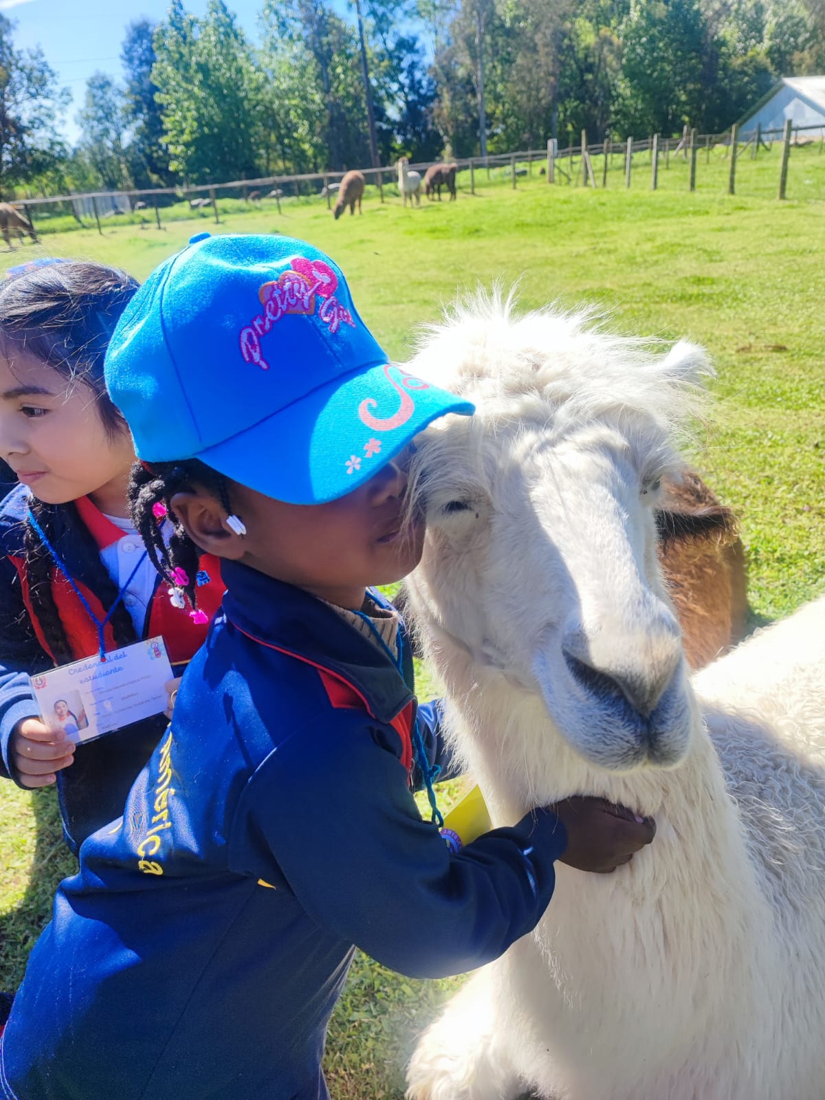 WhatsApp Image err2025-10-29 at 09.12.43