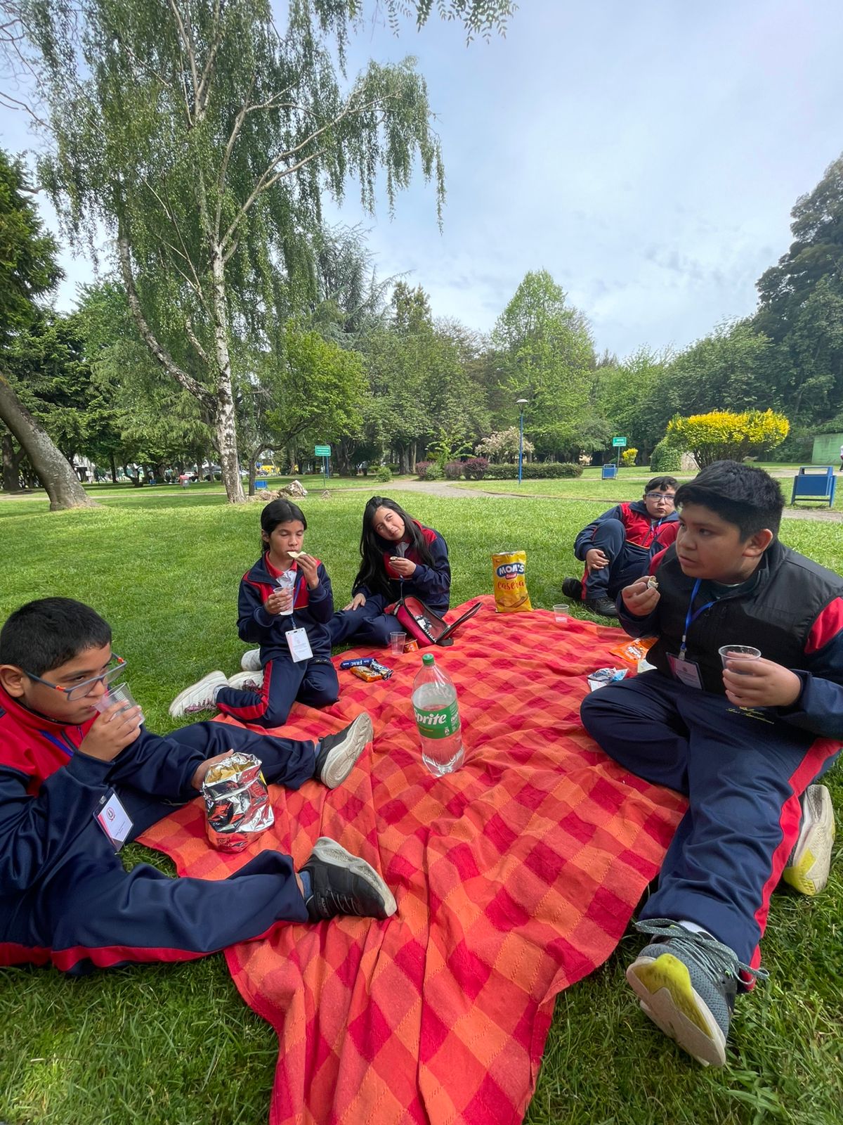 WhatsApp Imag44e 2025-11-03 at 16.54.40