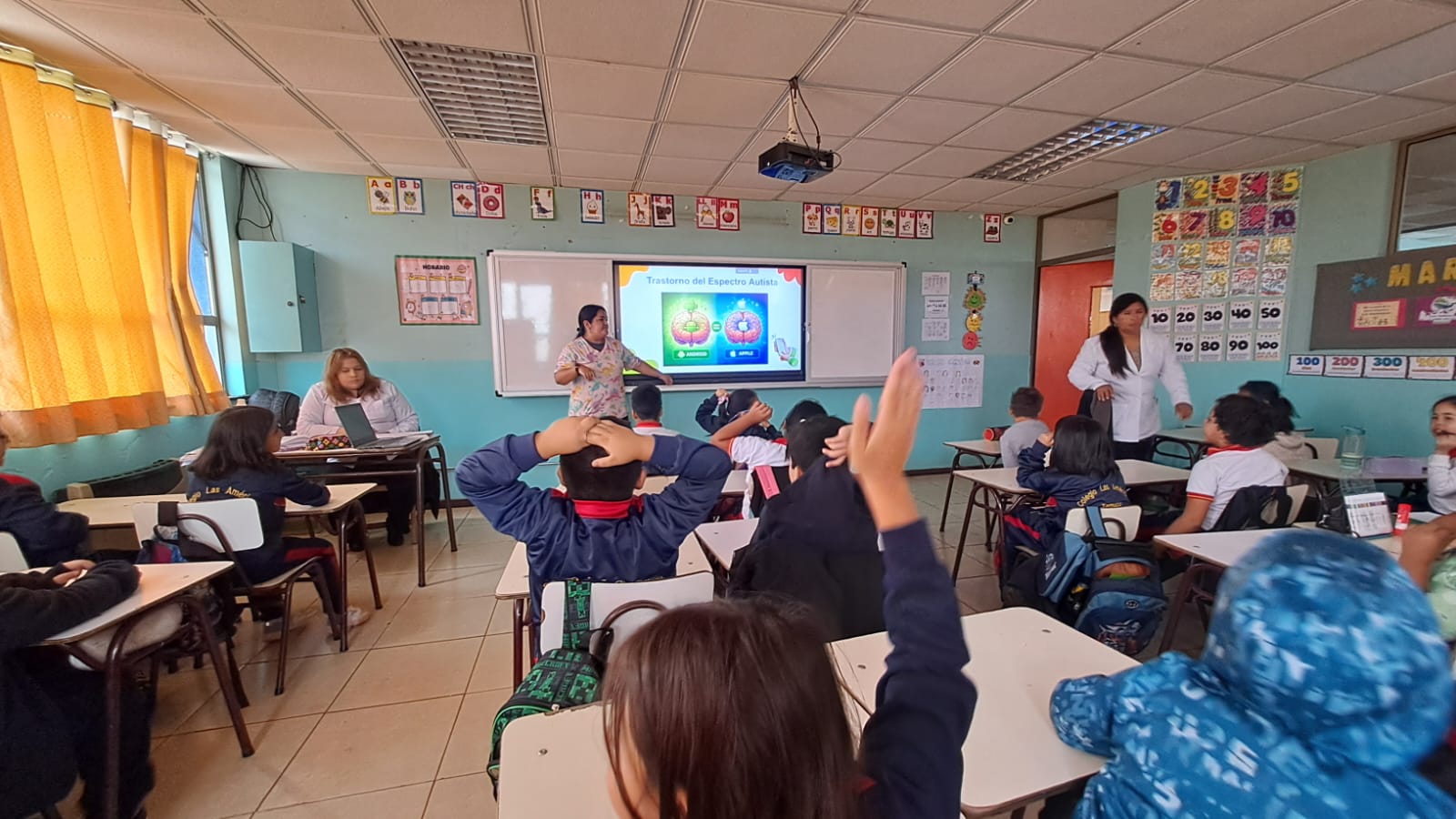 WhatsApp Image 2026-03-13 66at 13.00.42