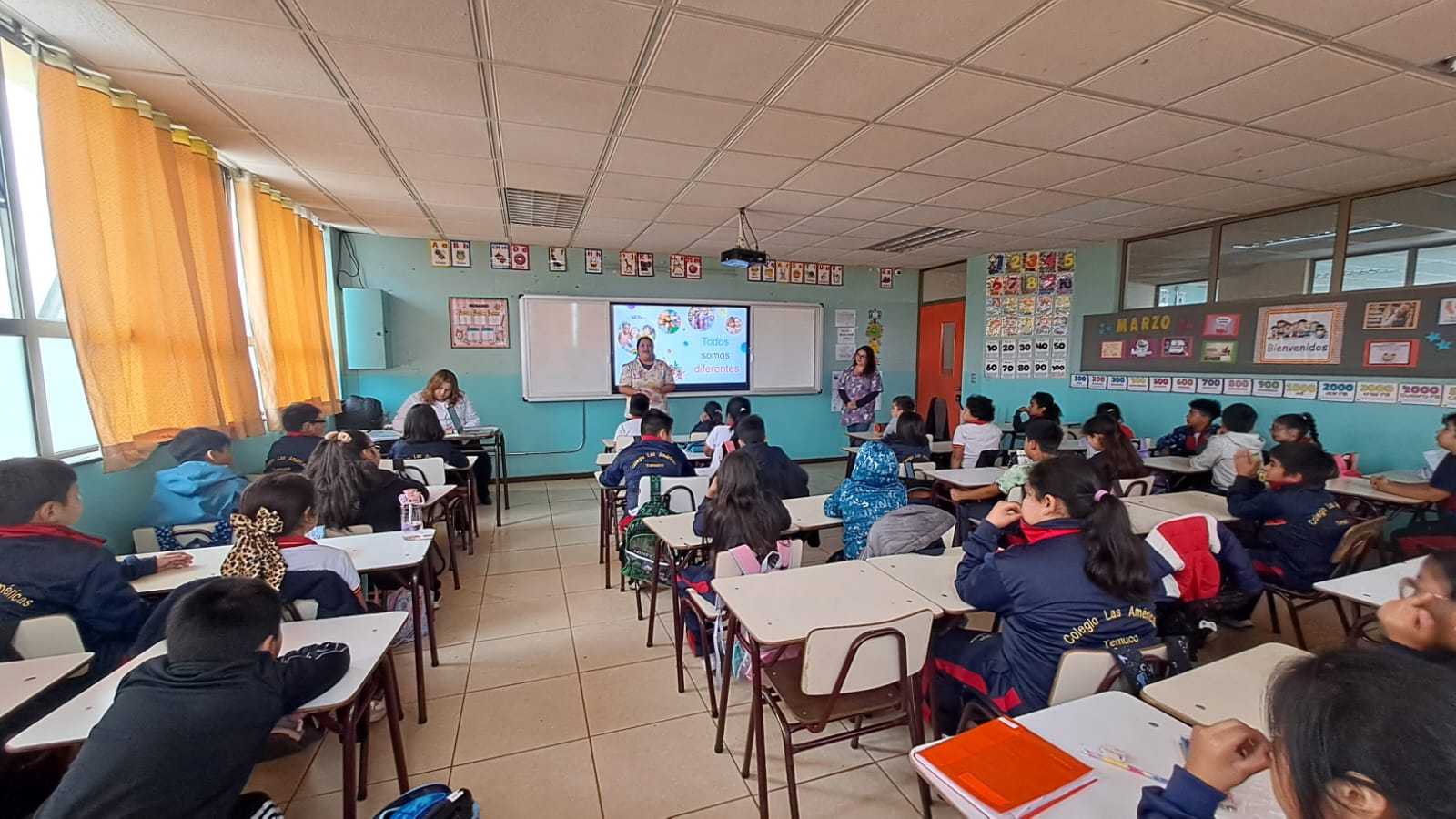 WhatsApp Image 2026-03-13 at adad13.00.44