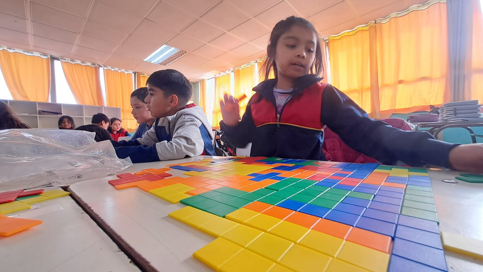 WhatsApp Imag333e 2026-04-17 at 11.43.33