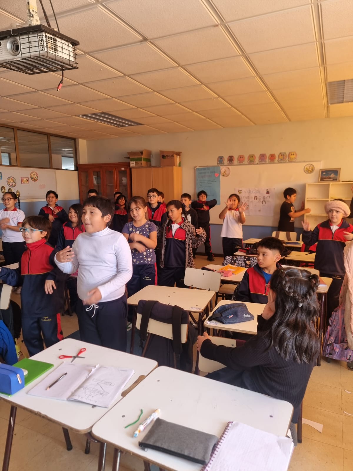 WhatsApp Image 2026-04-06 at 17.24.53