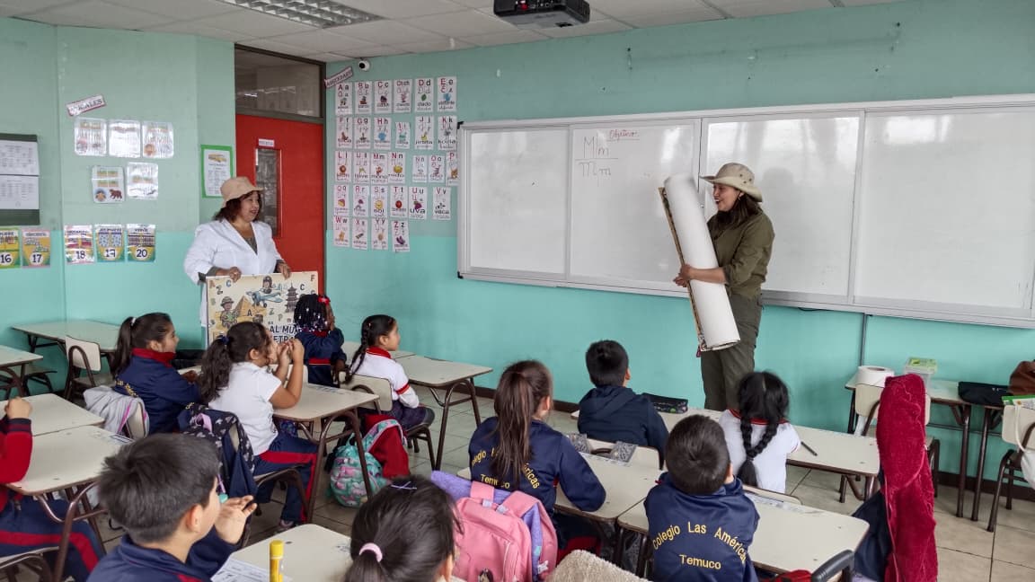 WhatsApp Image 2026-04-07 575757at 16.13.08