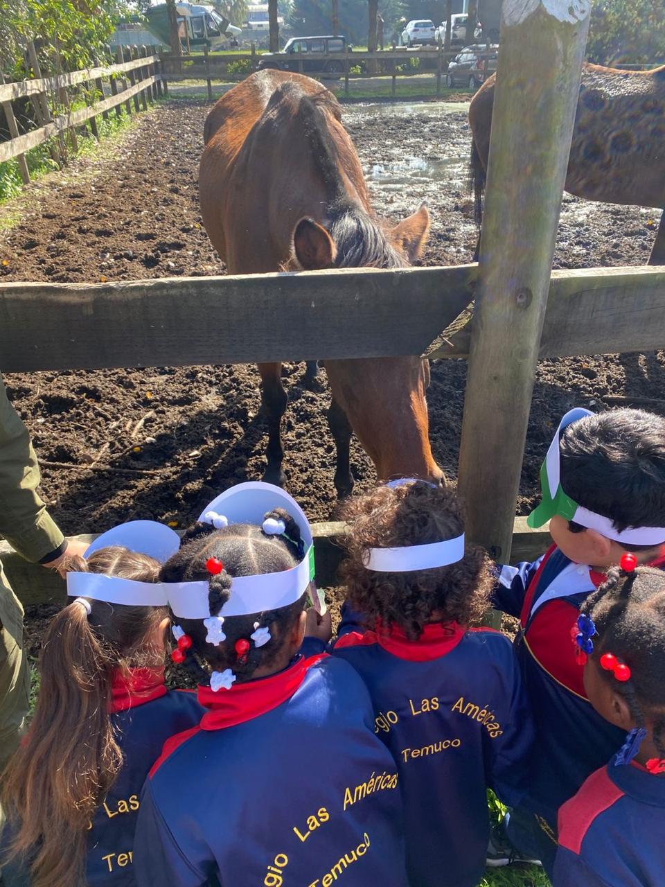 WhatsApp Image 2026-04-22 afsft 14.51.10