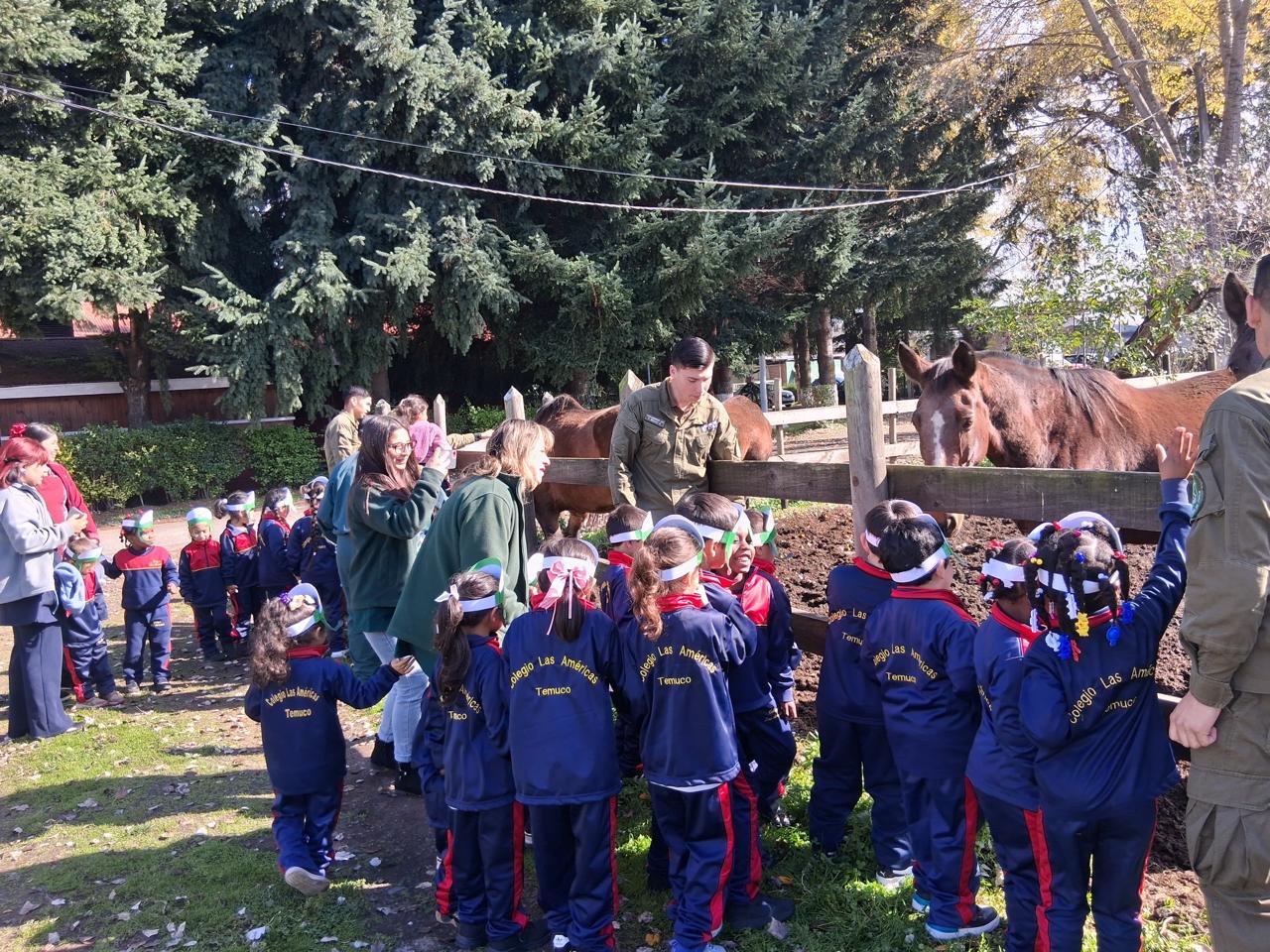 WhatsApp Image 2026-sfsf04-22 at 14.51.11