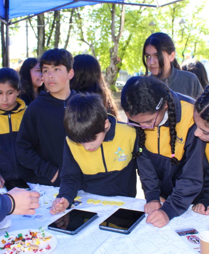 Colegio Las Américas Brilla con Tecnología y Programación en la Expo TP de Temuco