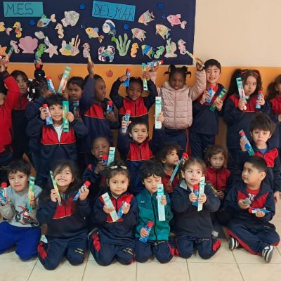 Salud dental en párvulos: Operativo preventivo en el colegio