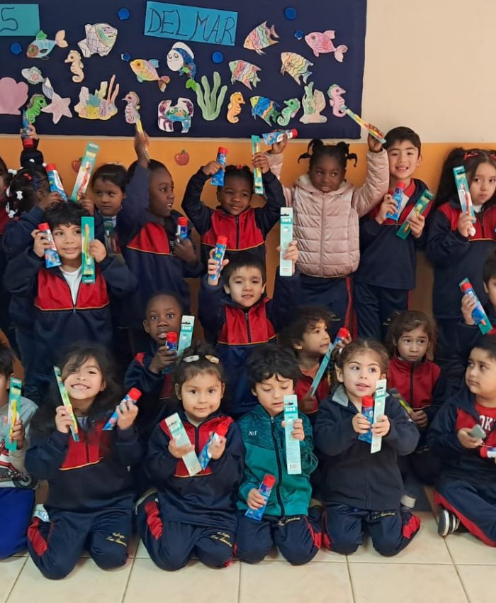 Salud dental en párvulos: Operativo preventivo en el colegio