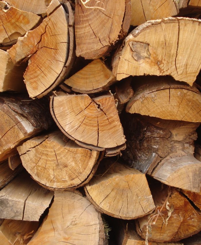 Innovación y Conciencia Ambiental: Estudiantes del Colegio Las Américas Postulan a Concurso con Microcorto Sobre Leña Seca